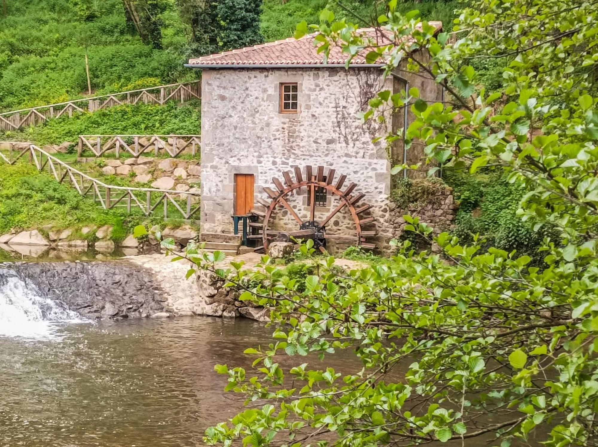 Bed and Breakfast Manoir Des Arts Confolens Exterior foto